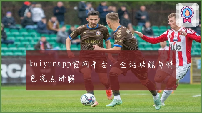 kaiyunapp官网平台，全站功能与特色亮点讲解