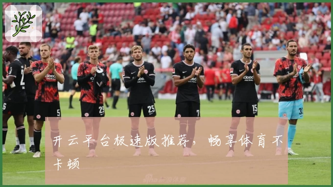 开云平台极速版推荐，畅享体育不卡顿