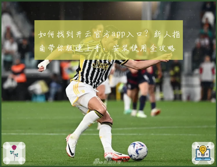 如何找到开云官方app入口？新人指南带你极速上手，安装使用全攻略