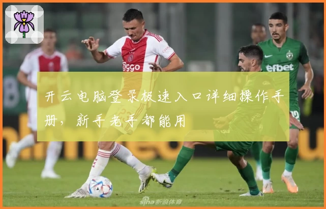 开云电脑登录极速入口详细操作手册,新手老手都能用