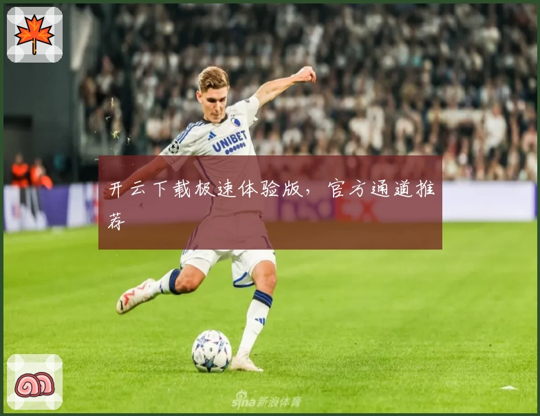 开云下载极速体验版，官方通道推荐